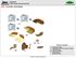 Picture of 16310101 1601 2-Panel Part Set, Brown, No Control Arm